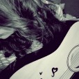 The sound of souls . 