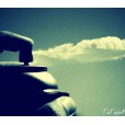 My Photography 