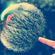 Popping Bubble @rawr_Tia_