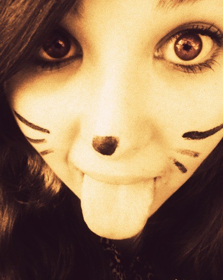 Meow;3